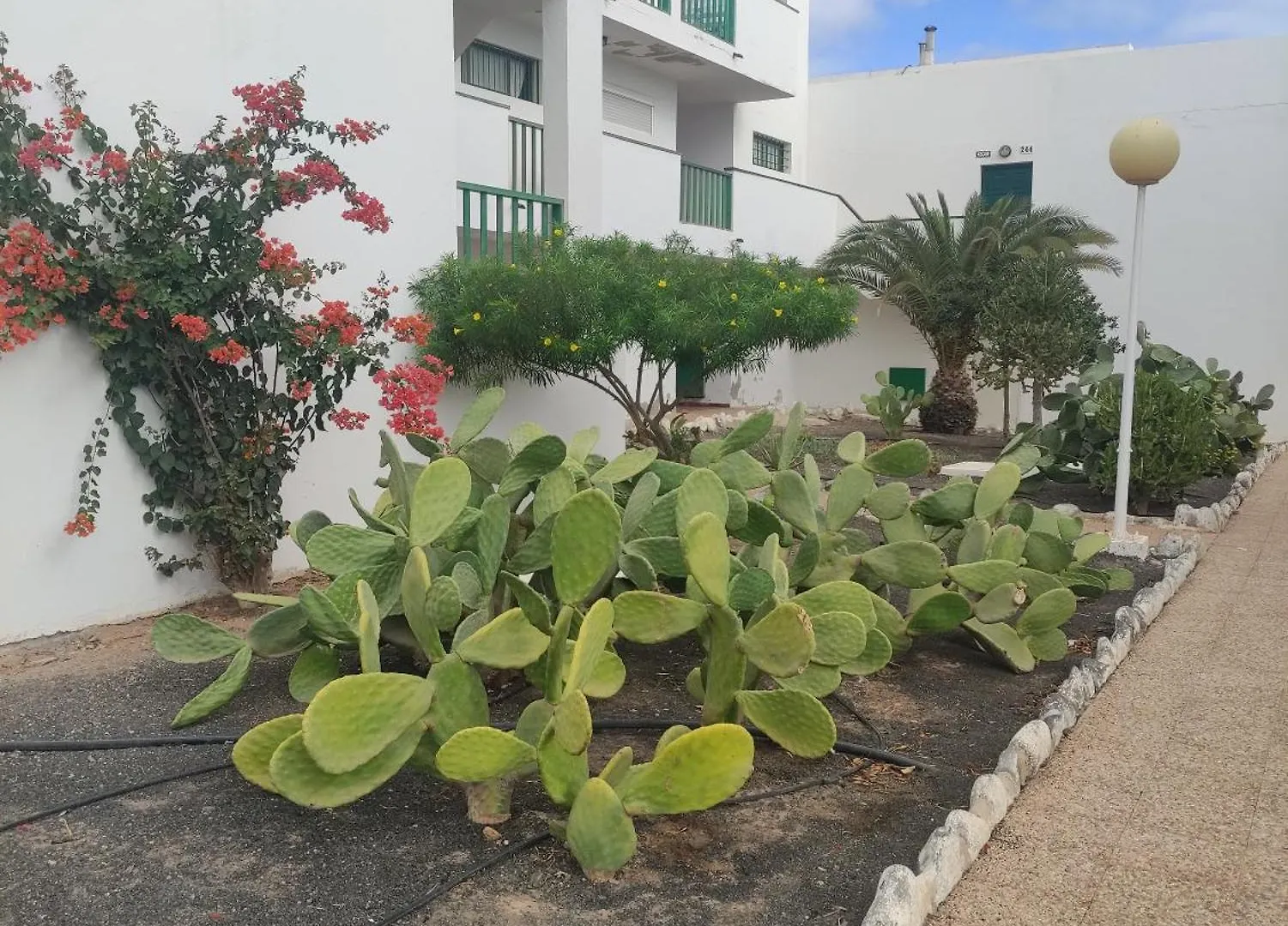 Casita Perla Blanca Apartment Costa De Antigua Spain